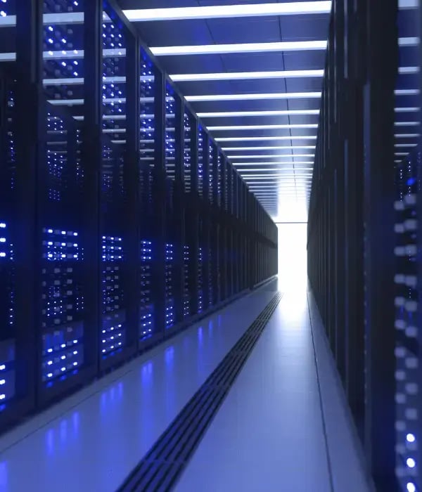 management-services-network