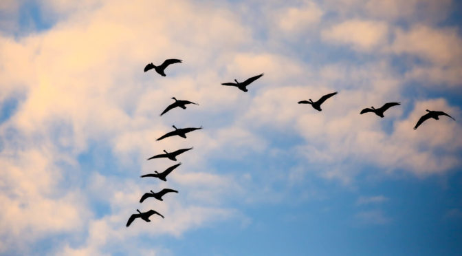 Cloud Migration Strategy & Services